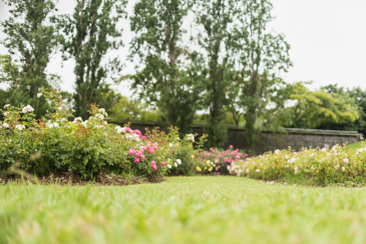 Bohagspartner - Våra trädgårdstjänster